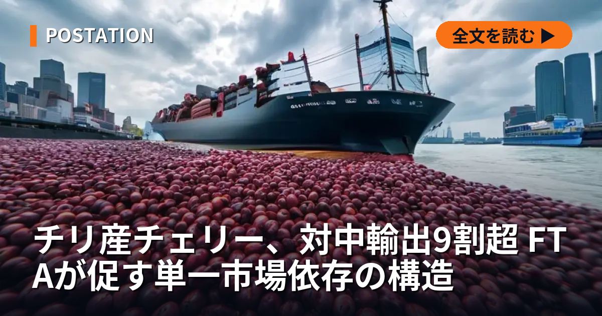 チリ産チェリー、対中輸出9割超 FTAが促す単一市場依存の構造
