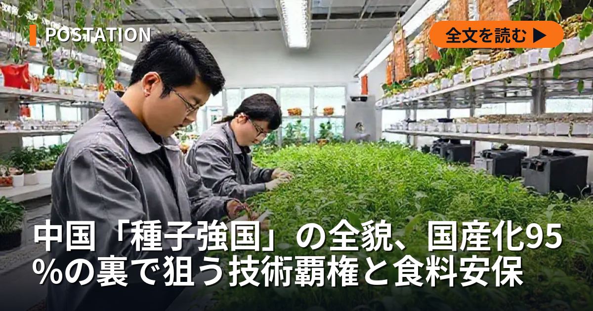 中国「種子強国」の全貌、国産化95%の裏で狙う技術覇権と食料安保