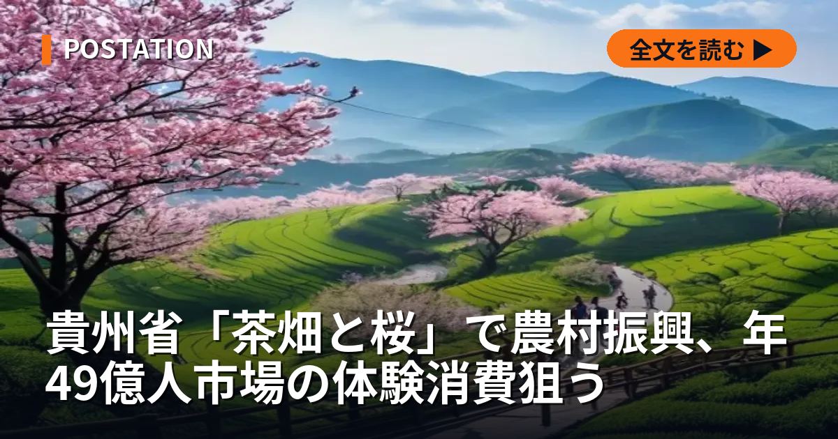 貴州省「茶畑と桜」で農村振興、年49億人市場の体験消費狙う
