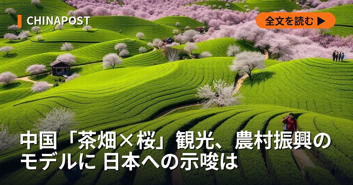 中国「茶畑×桜」観光、農村振興のモデルに 日本への示唆は