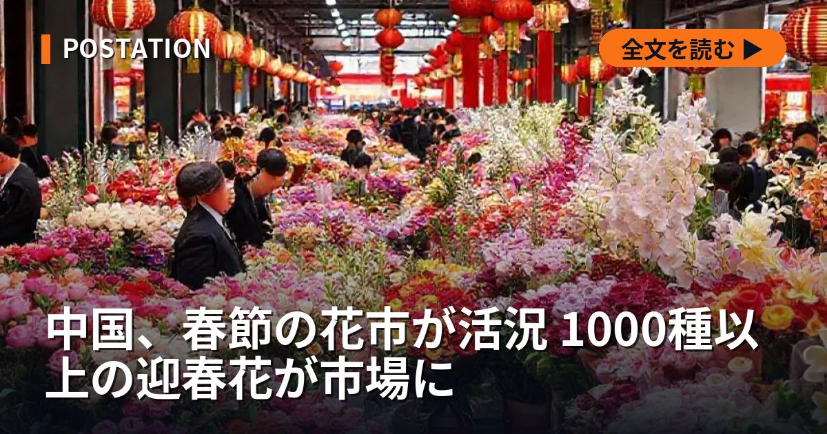 中国、春節の花市が活況 1000種以上の迎春花が市場に
