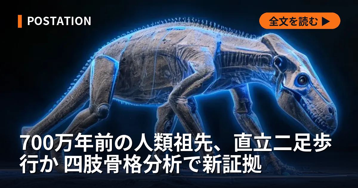 700万年前の人類祖先、直立二足歩行か 四肢骨格分析で新証拠